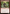 Goblin Trailblazer [Jumpstart 2022] - Magic: The Gathering - Card Brawlers | Quebec | Canada |