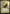 Path of Mettle // Metzali, Tower of Triumph [Rivals of Ixalan Prerelease Promos] - Magic: The Gathering - Card Brawlers | Quebec | Canada |