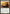 Brimaz, King of Oreskos [Born of the Gods] - Magic: The Gathering - Card Brawlers | Quebec | Canada |