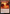 Riverglide Pathway // Lavaglide Pathway [Secret Lair: From Cute to Brute] - Magic: The Gathering - Card Brawlers | Quebec | Canada |