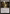 Mutavault (CLB) [The List] - Magic: The Gathering - Card Brawlers | Quebec | Canada |