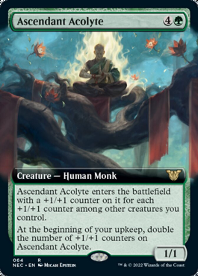 Ascendant Acolyte (Extended Art) [Kamigawa: Neon Dynasty Commander] - Magic: The Gathering - Card Brawlers | Quebec | Canada |