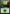 Forest (152) [Planechase Anthology] - Magic: The Gathering - Card Brawlers | Quebec | Canada |