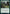 Green Dragon [Dungeons & Dragons: Adventures in the Forgotten Realms] - Magic: The Gathering - Card Brawlers | Quebec | Canada |