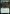 Thornweald Archer [Time Spiral Remastered] - Magic: The Gathering - Card Brawlers | Quebec | Canada |