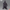 X-Plus - TOHO Kaiju Wars Series - Gigantis Standard Version - (PREORDER) December 15, 2026