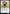 Kor Cartographer [Kaldheim Commander] - Magic: The Gathering - Card Brawlers | Quebec | Canada |