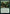 Threats Undetected [Dominaria United Prerelease Promos] - Magic: The Gathering - Card Brawlers | Quebec | Canada |