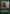 Tanglespan Lookout (Promo Pack) [Wilds of Eldraine Promos] - Magic: The Gathering - Card Brawlers | Quebec | Canada |