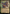 Sovereign Okinec Ahau (Showcase) [The Lost Caverns of Ixalan] - Magic: The Gathering - Card Brawlers | Quebec | Canada |