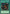Darkness Approaches [SRL-EN040] Common - Yu-Gi-Oh! - Card Brawlers | Quebec | Canada |