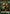Elf Warrior Token [Commander Anthology Tokens] - Magic: The Gathering - Card Brawlers | Quebec | Canada |