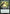 Azusa, Lost but Seeking (Extended Art) [Core Set 2021] - Magic: The Gathering - Card Brawlers | Quebec | Canada |