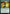 Dragonsguard Elite [Strixhaven: School of Mages Prerelease Promos] - Magic: The Gathering - Card Brawlers | Quebec | Canada |