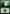 Forest (156) [Planechase Anthology] - Magic: The Gathering - Card Brawlers | Quebec | Canada |