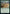 Sandwurm Convergence [Commander Legends: Battle for Baldur's Gate] - Magic: The Gathering - Card Brawlers | Quebec | Canada |