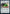 Strixhaven Stadium [Strixhaven: School of Mages Prerelease Promos] - Magic: The Gathering - Card Brawlers | Quebec | Canada |