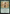 Bumi, Eclectic Earthbender [Avatar: The Last Airbender: Eternal-Legal] - Magic: The Gathering - Card Brawlers | Quebec | Canada |