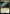 Nearby Planet (Galaxy Foil) [Unfinity] - Magic: The Gathering - Card Brawlers | Quebec | Canada |