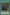 Commencement Dance [MRL-062] Common - Yu-Gi-Oh! - Card Brawlers | Quebec | Canada |
