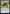 Patchwork Banner [Media Promos] - Magic: The Gathering - Card Brawlers | Quebec | Canada |