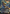 Vivi Ornitier (Borderless) [FINAL FANTASY] - Magic: The Gathering - Card Brawlers | Quebec | Canada |