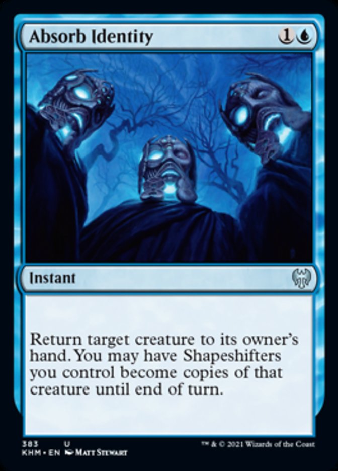 Absorb Identity [Kaldheim] - Magic: The Gathering - Card Brawlers | Quebec | Canada |