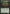 Snapping Creeper [Worldwake] - Magic: The Gathering - Card Brawlers | Quebec | Canada |