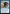 Pongify [Tarkir: Dragonstorm Commander] - Magic: The Gathering - Card Brawlers | Quebec | Canada |