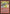 Balduvian War-Makers (Yellow/Green Background) [Alliances] - Magic: The Gathering - Card Brawlers | Quebec | Canada |