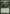 Gnarlid Pack [Conspiracy] - Magic: The Gathering - Card Brawlers | Quebec | Canada |