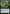 Canopy Gargantuan (Extended Art) [Tarkir: Dragonstorm Commander] - Magic: The Gathering - Card Brawlers | Quebec | Canada |