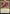 Zurgo and Ojutai (Promo Pack) [March of the Machine Promos] - Magic: The Gathering - Card Brawlers | Quebec | Canada |