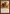 Mass Hysteria [The List] - Magic: The Gathering - Card Brawlers | Quebec | Canada |