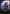Detective Theme Card [Jumpstart 2022 Front Cards] - Magic: The Gathering - Card Brawlers | Quebec | Canada |