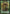 Saproling Token [Duel Decks: Ajani vs. Nicol Bolas Tokens] - Magic: The Gathering - Card Brawlers | Quebec | Canada |