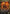 Rakdos Firewheeler (Open House) (Extended Art) [Ravnica Allegiance Promos] - Magic: The Gathering - Card Brawlers | Quebec | Canada |