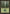 Forest (Three Dark Trees at Front with Lush Ground) [Portal] - Magic: The Gathering - Card Brawlers | Quebec | Canada |