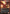 Themberchaud [Secret Lair Drop Promos] - Magic: The Gathering - Card Brawlers | Quebec | Canada |