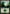 Forest (301) [Time Spiral] - Magic: The Gathering - Card Brawlers | Quebec | Canada |