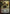 Ajani Vengeant [Shards of Alara Promos] - Magic: The Gathering - Card Brawlers | Quebec | Canada |