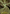 Primal Command Art Card (Gold-Stamped Signature) [Strixhaven: School of Mages Art Series] - Magic: The Gathering - Card Brawlers | Quebec | Canada |