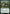 Gargos, Vicious Watcher (Promo Pack) [Core Set 2020 Promos] - Magic: The Gathering - Card Brawlers | Quebec | Canada |