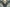 Vesuvan Duplimancy Art Card [Dominaria United Art Series] - Magic: The Gathering - Card Brawlers | Quebec | Canada |
