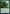 Haruspex (Surge Foil) [Warhammer 40,000] - Magic: The Gathering - Card Brawlers | Quebec | Canada |