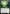Omnath, Locus of Mana [Commander Collection: Green] - Magic: The Gathering - Card Brawlers | Quebec | Canada |