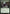 Stingerfling Spider [Commander 2015] - Magic: The Gathering - Card Brawlers | Quebec | Canada |