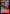 Fish // Mark of the Rani Double-Sided Token (Surge Foil) [Doctor Who Tokens] - Magic: The Gathering - Card Brawlers | Quebec | Canada |