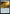 Fireshrieker [Commander Masters] - Magic: The Gathering - Card Brawlers | Quebec | Canada |