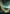 Forest (495) (Orbital Space-ic Land) (Galaxy Foil) [Unfinity] - Magic: The Gathering - Card Brawlers | Quebec | Canada |